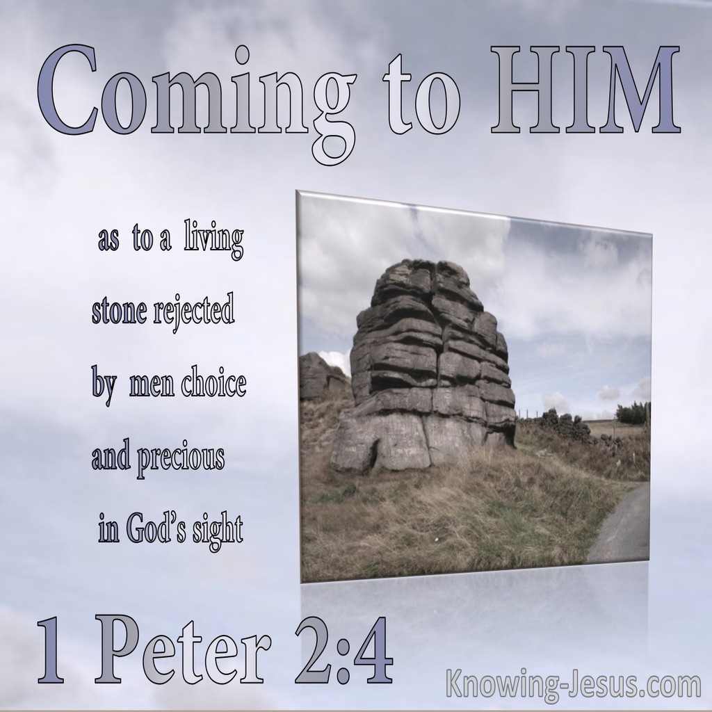 1 Peter 2:4 A Living Stone : Rejected By Men Precious To God (gray)